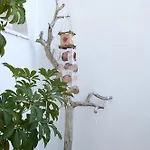 Angela *